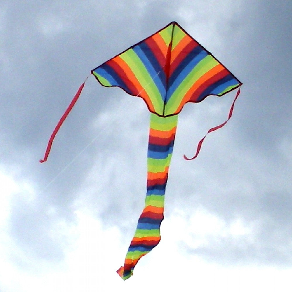 Kite - Bright Delta - Earth Toys - 2
