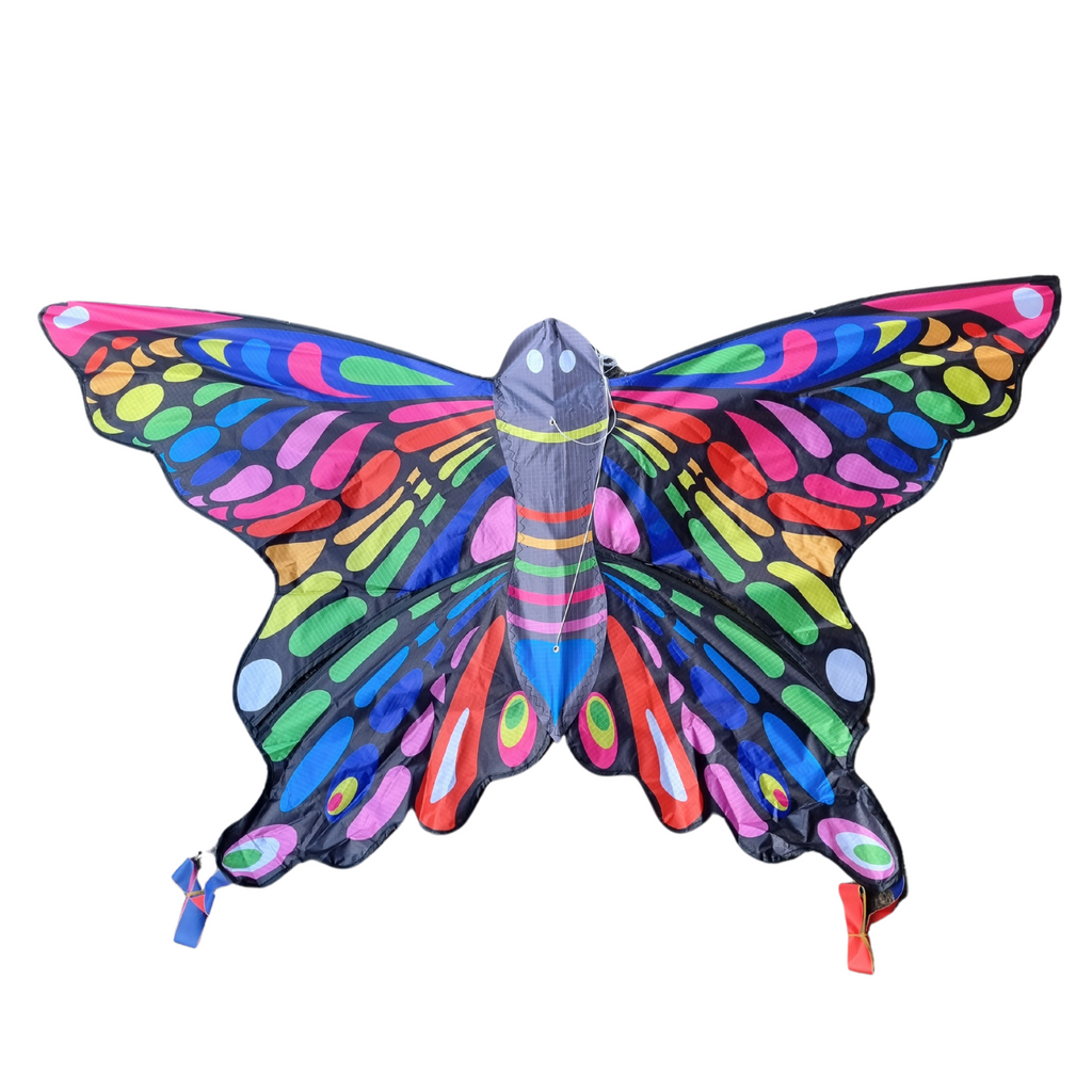 rainbow butterfly kite windspeed childrens single ilne white background