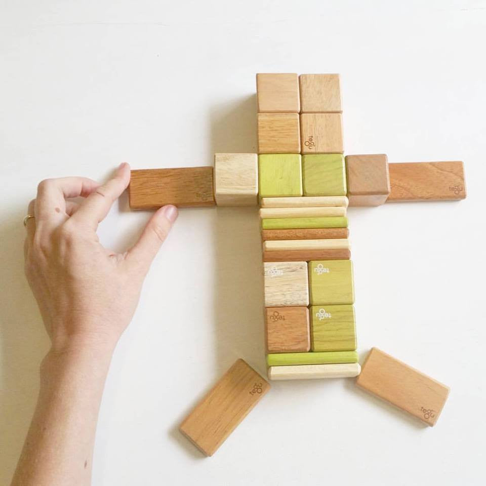 Tegu Magnetic Play