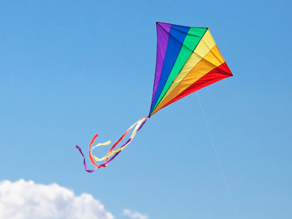 Flying Kites is Family Fun!