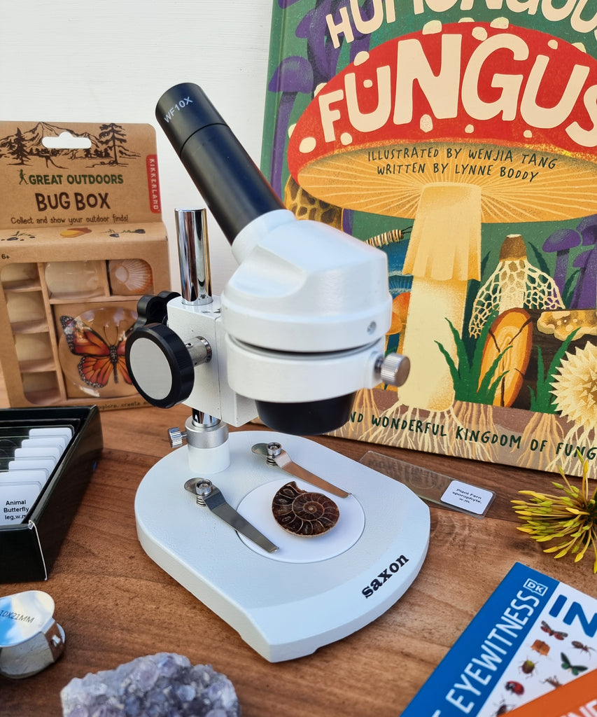 Science & Nature Toys