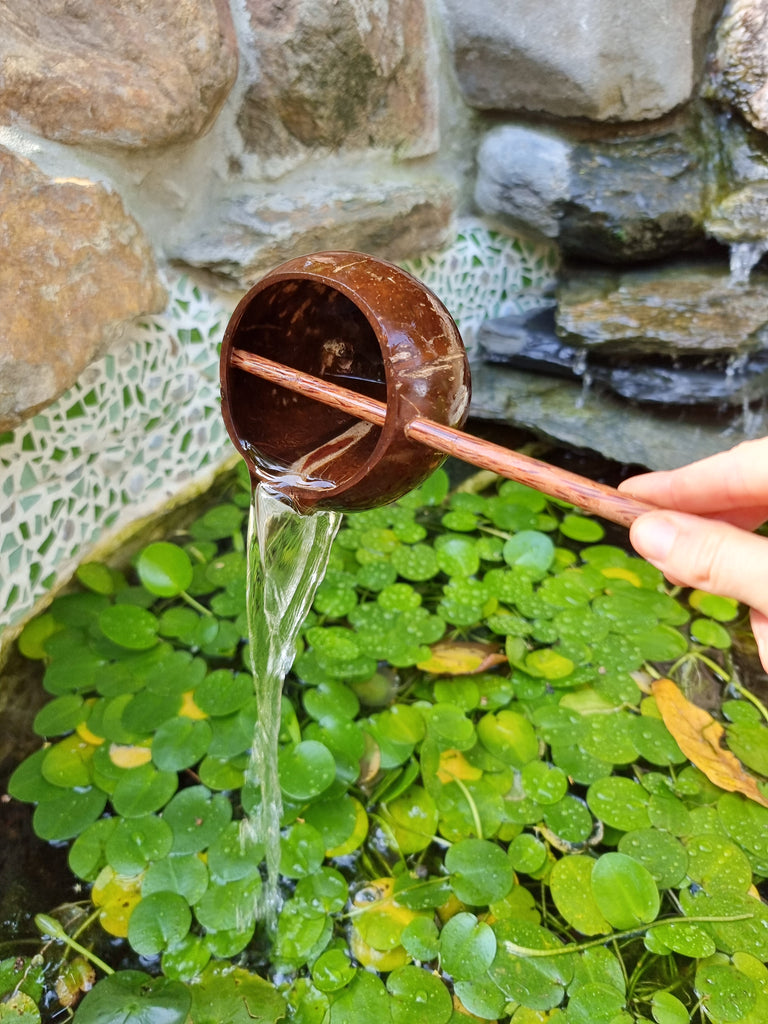 Natural Coconut Shell Water and Sand Toys