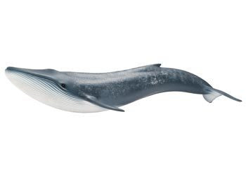 Schleich - Blue Whale - Earth Toys