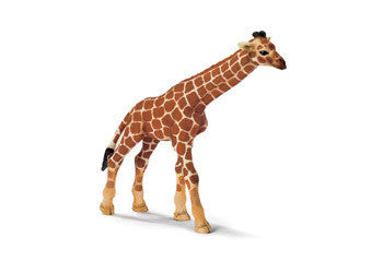 Schleich - Giraffe Calf - Earth Toys