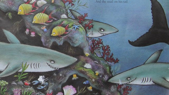 The Snail & the Whale - Earth Toys - 2