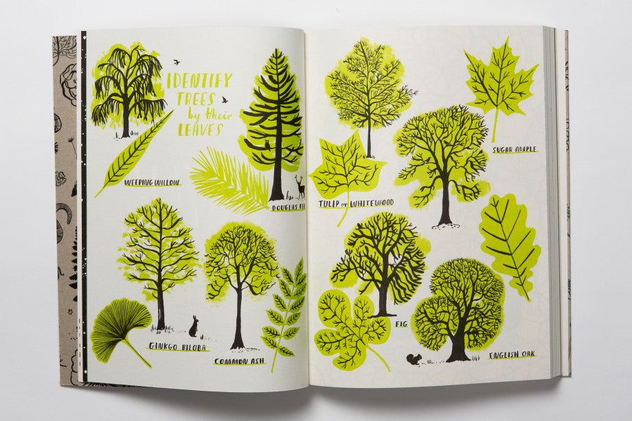 Hello Nature - Earth Toys - 2
