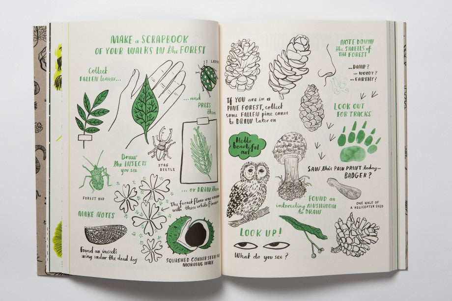 Hello Nature - Earth Toys - 3