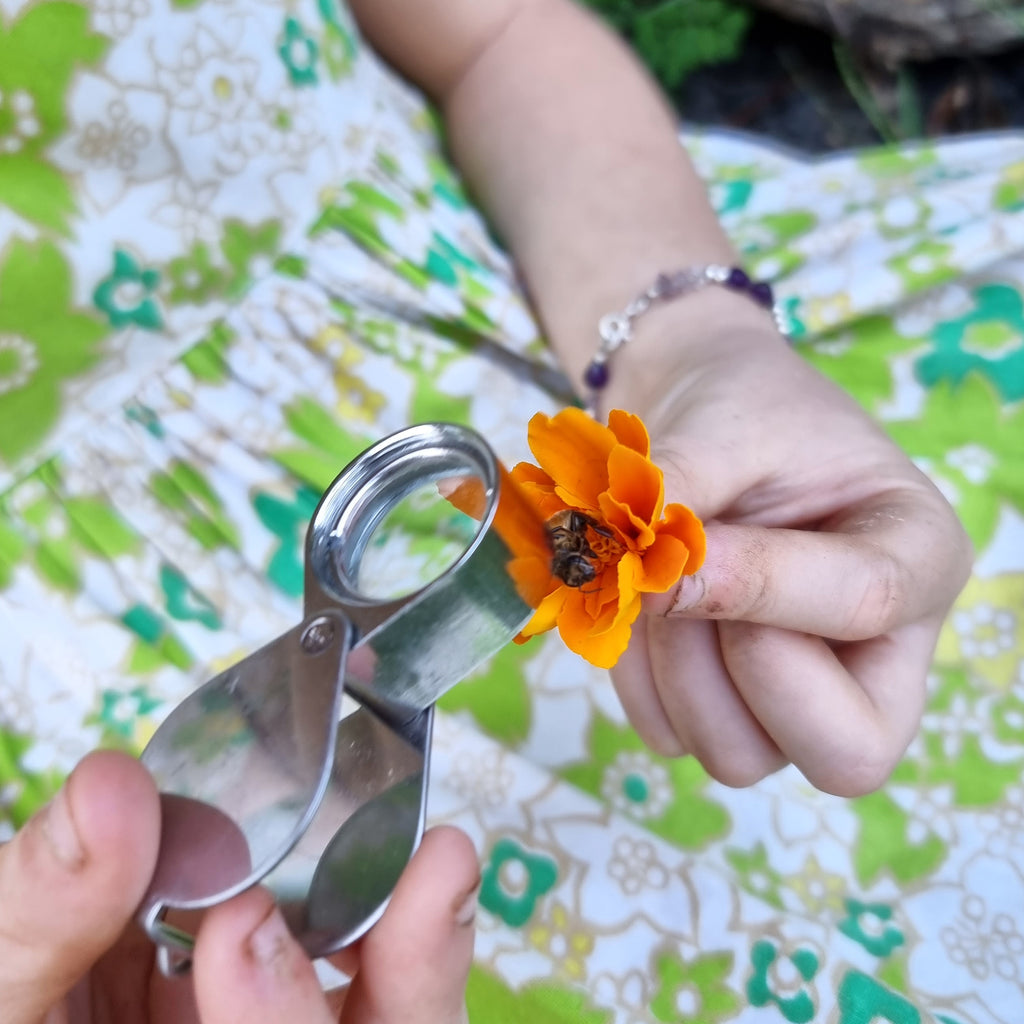 earth toys toy shop kid playing with outdoor field magnifyer to look at flowers