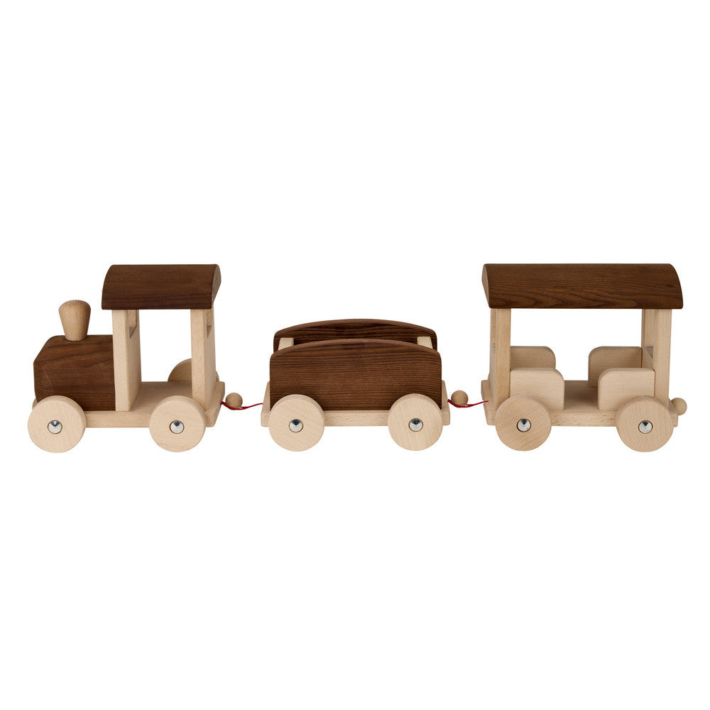 Giant Wooden Train - Earth Toys