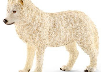 Schleich - Arctic wolf - Earth Toys