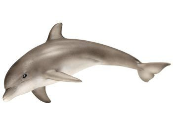 Schleich - Dolphin - Earth Toys
