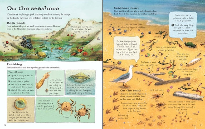 Usborne's - Outdoor Activity Book - Earth Toys - 4