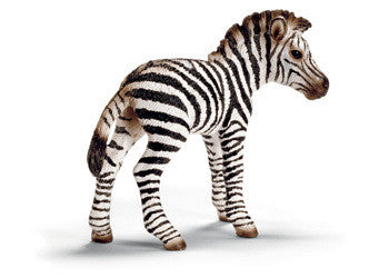 Schleich - Zebra foal - Earth Toys