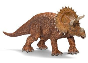 Schleich - Triceratops - Earth Toys