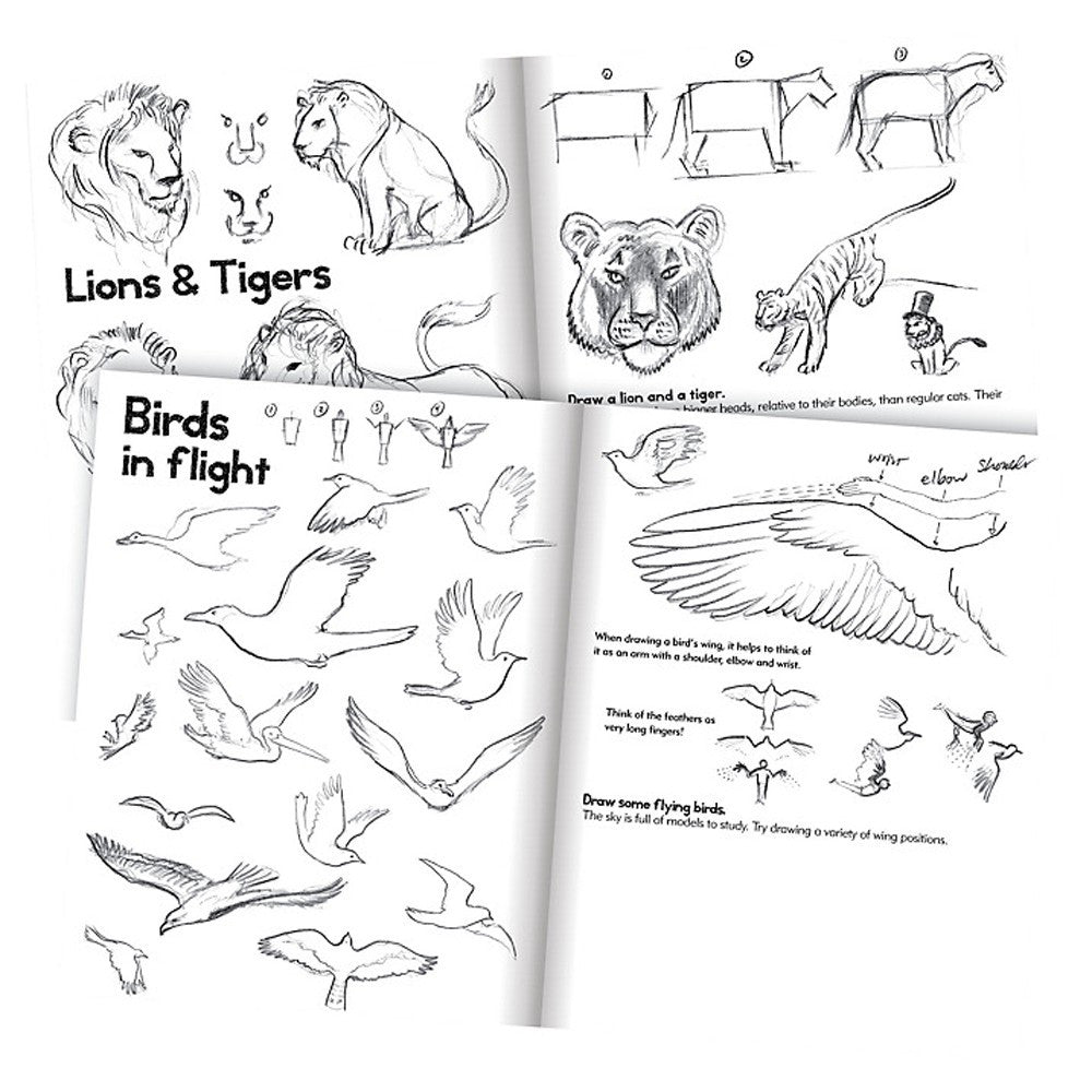 Learn to Draw Animals - Earth Toys - 2