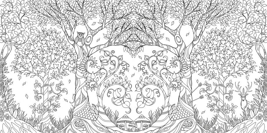 Enchanted Forest - An inky Quest Colour Book - Earth Toys - 4