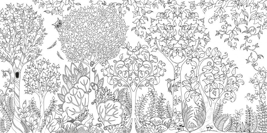 Enchanted Forest - An inky Quest Colour Book - Earth Toys - 3