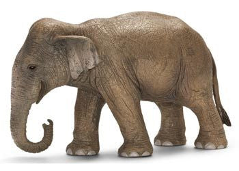 Schleich - Asian Elephant Female - Earth Toys