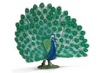 Schleich - Peacock - Earth Toys