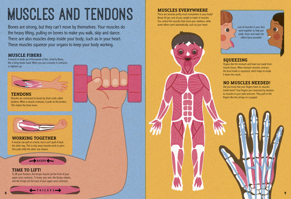 inside muscles tendons my amazing body magnifying glass non-fiction childrens book