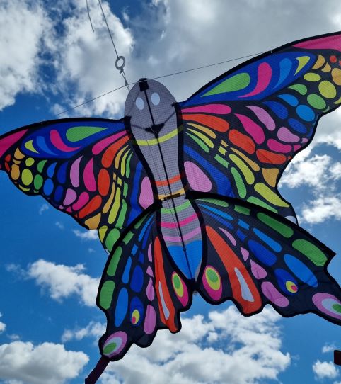 rainbow butterfly childrens kite single line in sky at earth toys cairns