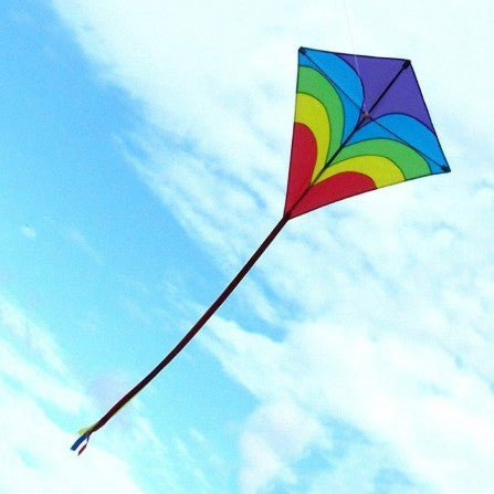 Waves Diamond Children's Kite - Earth Toys