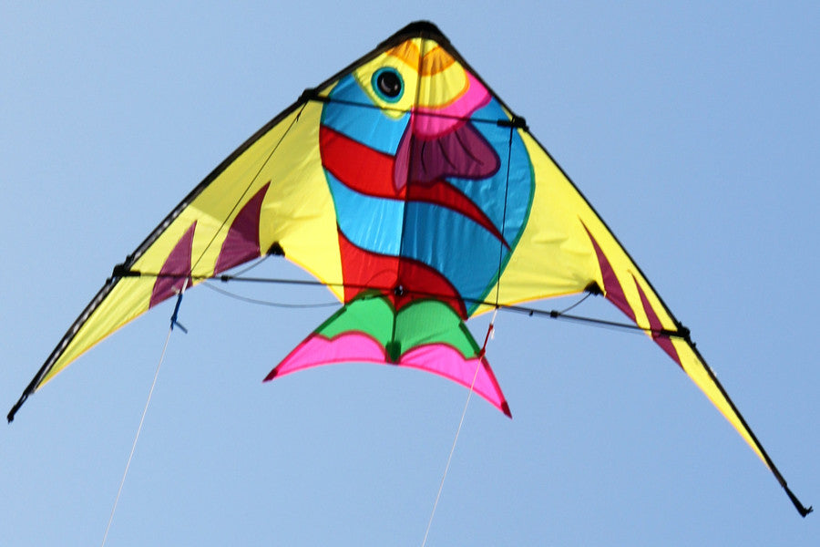Stunt Kite - Sunfish - Earth Toys - 2