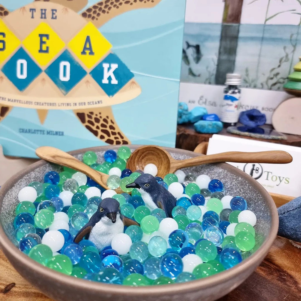 water-marble-sea-themed-counter-display-instore-toy-shop-cairns 