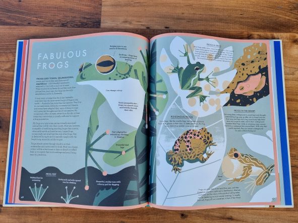 australian wild animals non fiction kids book look inside